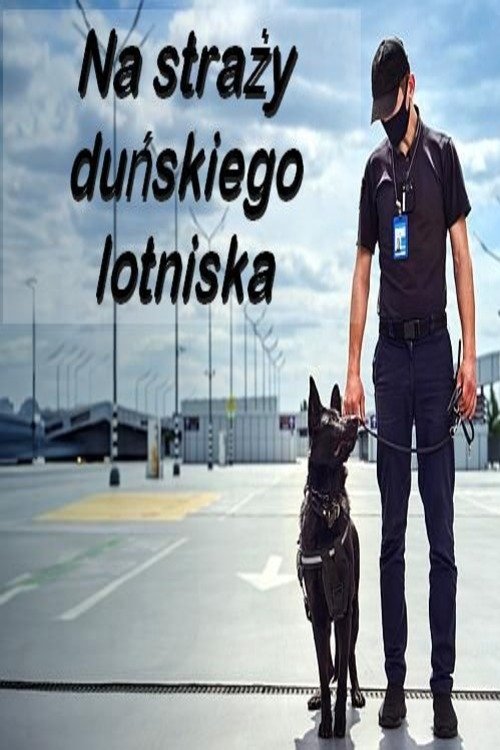 Na straży duńskiego lotniska