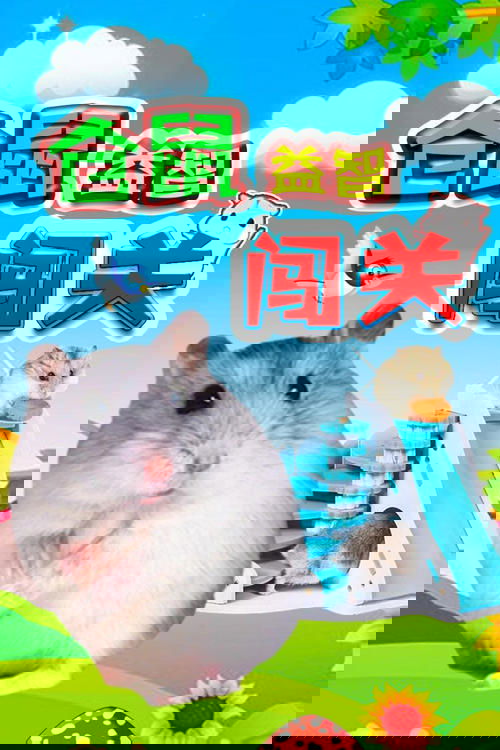仓鼠益智闯关