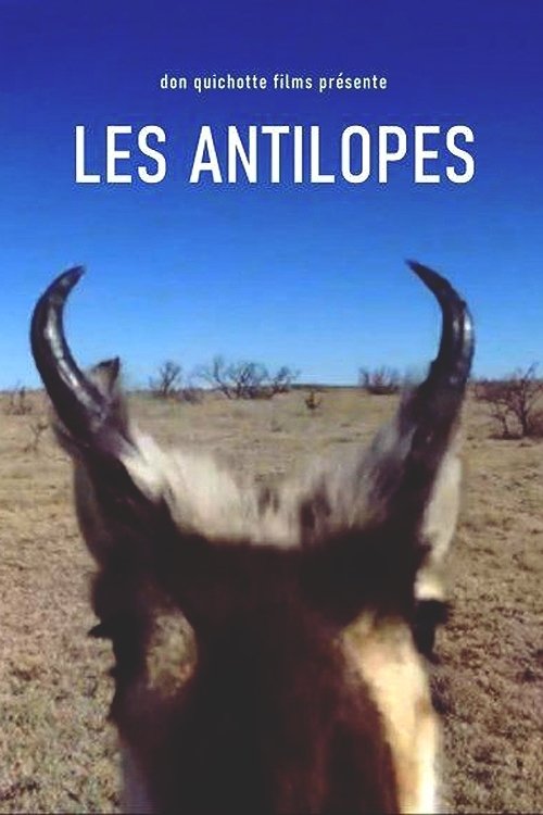 Antelopes