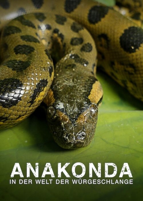 National Geographic. Анаконда: Тихий убийца