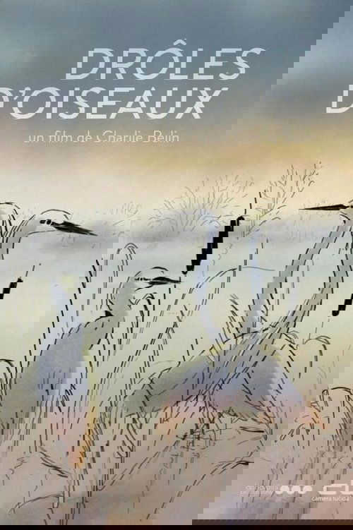 Funny Birds