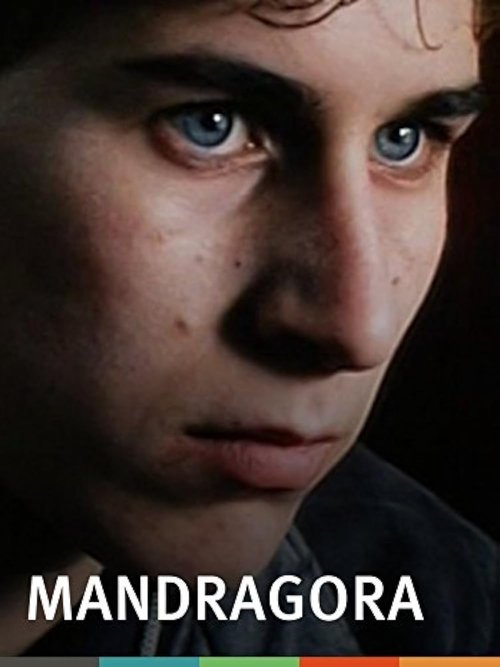 Мандрагора
