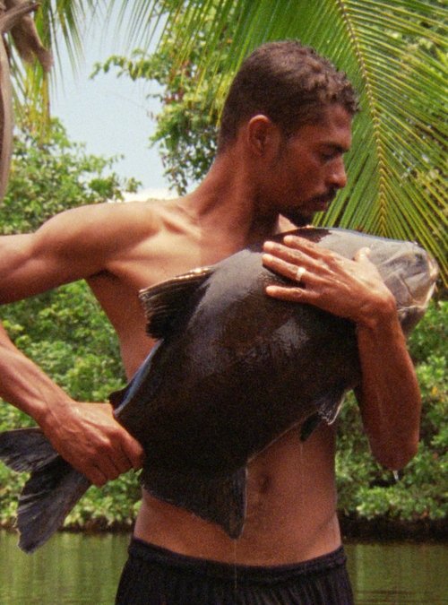 The Fish