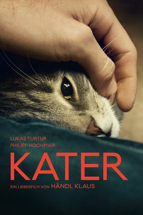 Кот