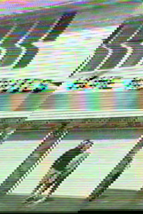 Home Movies