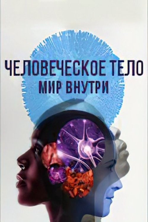 Человеческое тело: мир внутри