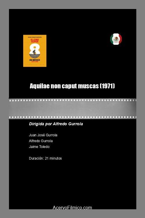 Aquilae non caput muscas