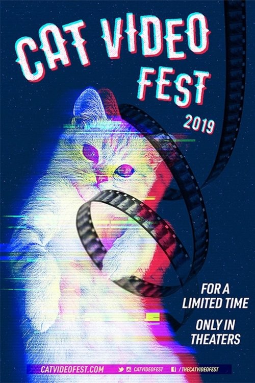 CatVideoFest 2019